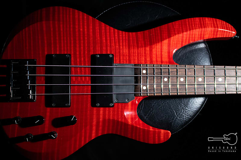 ESP Btl LISA II [BanG Dream! Roselia Signature Model] | Reverb