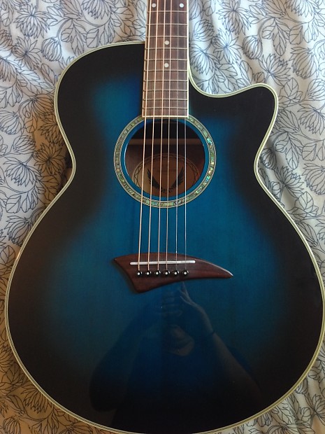 Blue dean sale acoustic guitar