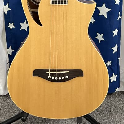 Peavey Composer 3/4 Scale Steel String Classical Guitar 2010s - Natural for sale