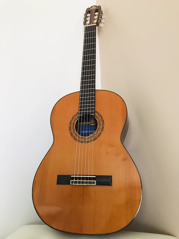 タケハルギター　G-120 1972