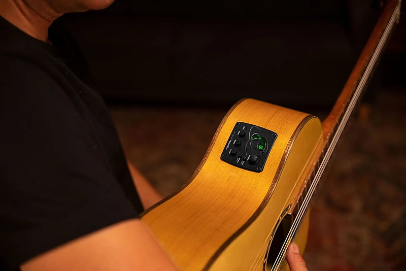 Family Series Pro Solid Top AcousticElectric Flamenco Guitar Reverb