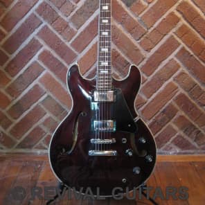 ホットマン セール II Pro Aria Japan Matsumoku Vintage 1984 TA-30 Acoustic Semi ギター