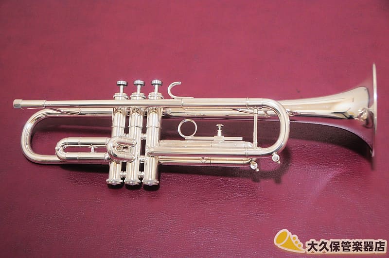 GETZEN “ETERNA” SEVERINSEN MODEL B♭ Trumpet | Reverb Canada