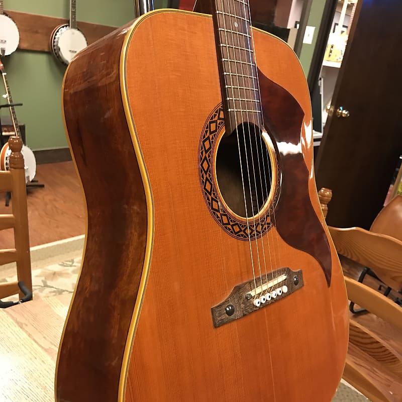 Jimmy page eko ranger best sale