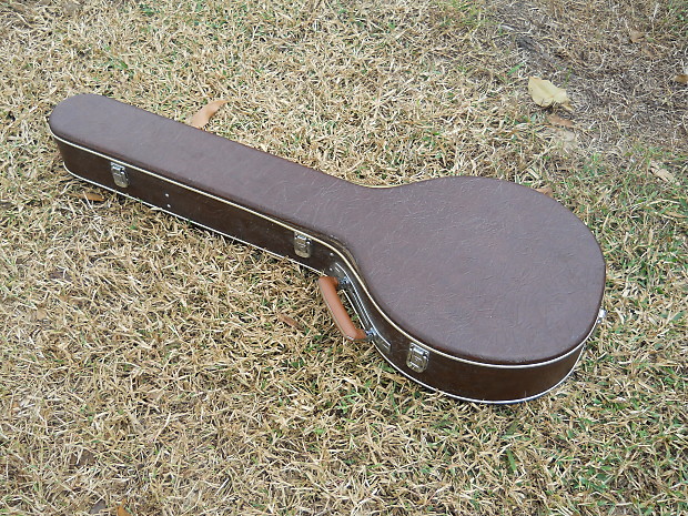 70s Alvarez Silver Princess 5 String Banjo MINTY Clean With Reverb