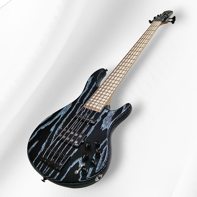 STR LS549 2023 - Matte black and sky blue | Reverb