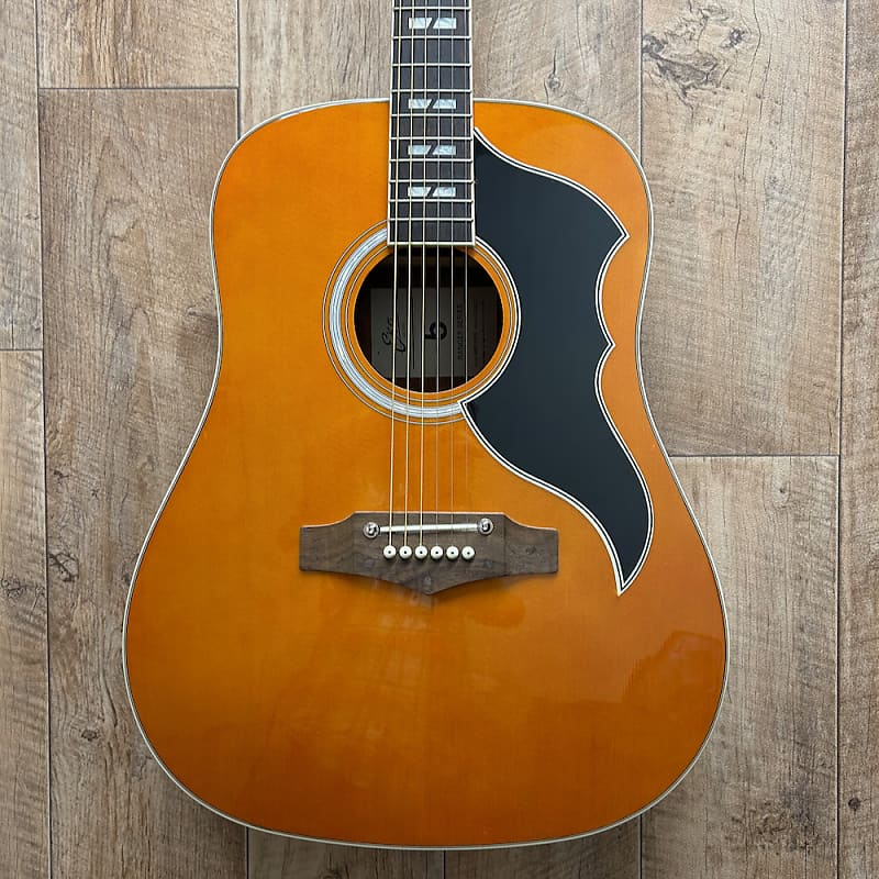 16-eko-guitars-ranger-vi-vr-