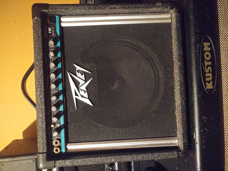 Peavey Envoy 110 Bluestripe