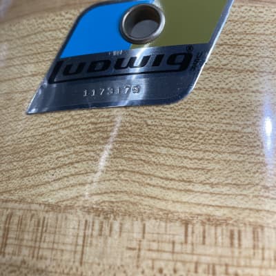Ludwig 3 Ply Butcher Block Pro-Beat, 24,18,16,14,13, Blue/Olive Pointy Badge, Immaculate!! 1976 image 17
