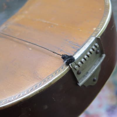 RARE vintage 1910 Victoria (Oscar Schmidt) flat-back mandolin New York / luthier project image 10
