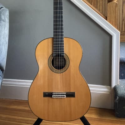 Asturias Model JM20 S Classical Guitar (1980's) – Elderly