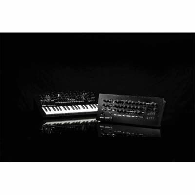 Korg MINILOGUE-XD-MODULE Minilogue XD Module image 5