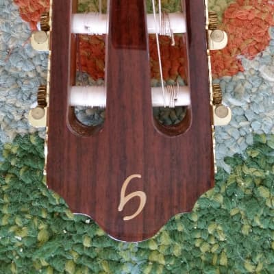Giannini Classical  Acoustic / Electric Cut-a-way image 7