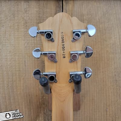 Lyon By Washburn LI15 w/ Gig Bag Used image 6
