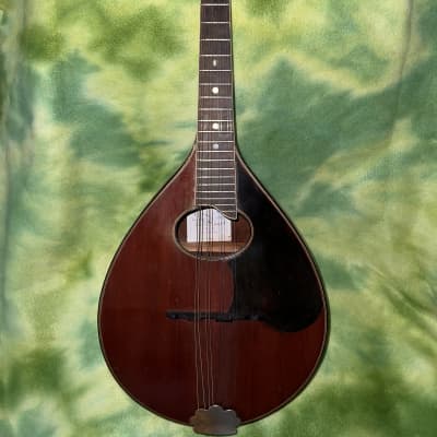 1920s Regal Washburn Style A Model 1915 image 1