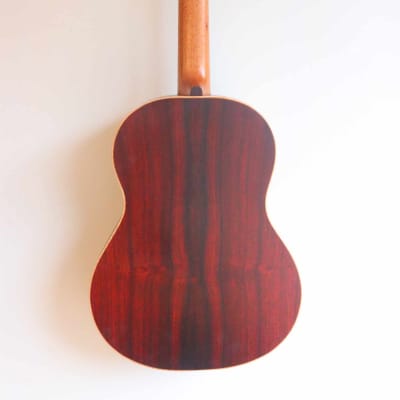 Mark Burnet Guitars - MBG-CC50 2023 - Spruce/Cocobolo image 2