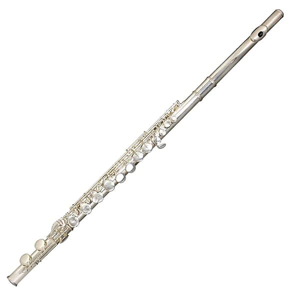 Gemeinhardt 11ACD Alto Flute, Curved and Straight Headjoints | Reverb