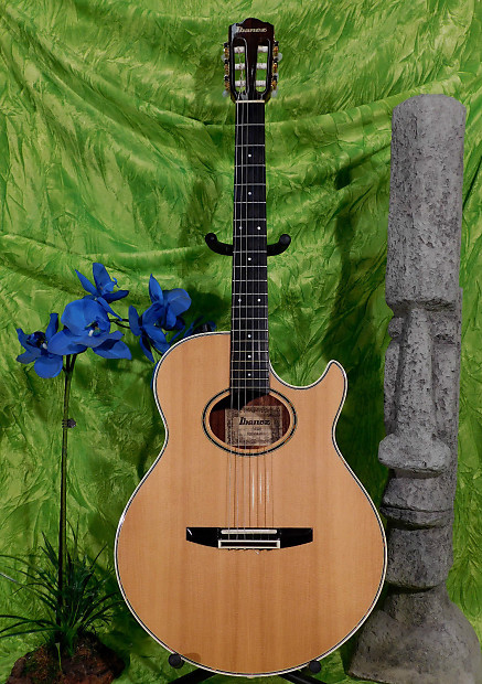 Ibanez ae450 store