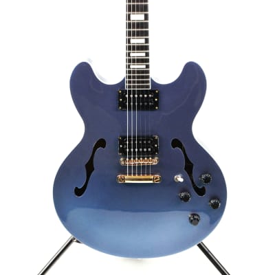 Bacchus GRACE-AT/BW - BLUE/OIL-BN Custom Series Guitar | Reverb