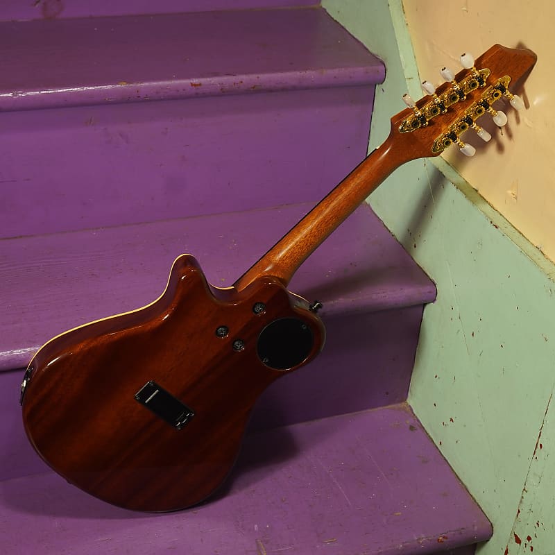 2008 Godin A8 Acoustic/Electric Mandolin (VIDEO! Fresh Setup, Ready to Go)  | Reverb Belgium