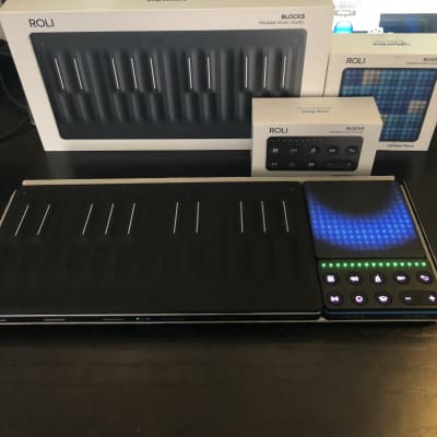 ROLI Seaboard Block, Lightpad Block, Loop Block, Snap Case | Reverb