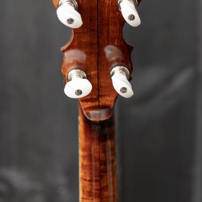 Wildwood Troubadour 5-String Open-Back Banjo Circa 1973 - Gloss image 18