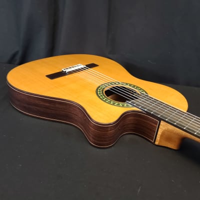 Alhambra 5P CT E2 Thinline Acoustic Electric Classical Nylon String Guitar w/Bag image 15