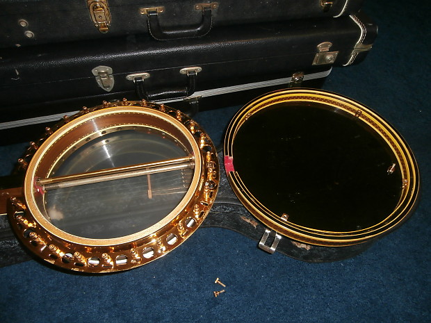 Salstrom banjo deals