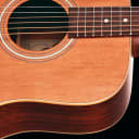 Teton STS105NT-L Left-handed Dreadnought Guitar ONLY, Solid Cedar Top, Mahogany Laminate B&S