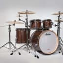 Ludwig Signet TeraBeat  4pc Shell Pack