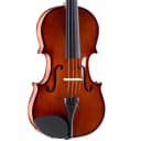 Palatino Violin Campus Outfit 4/4 VN-350 w/Case