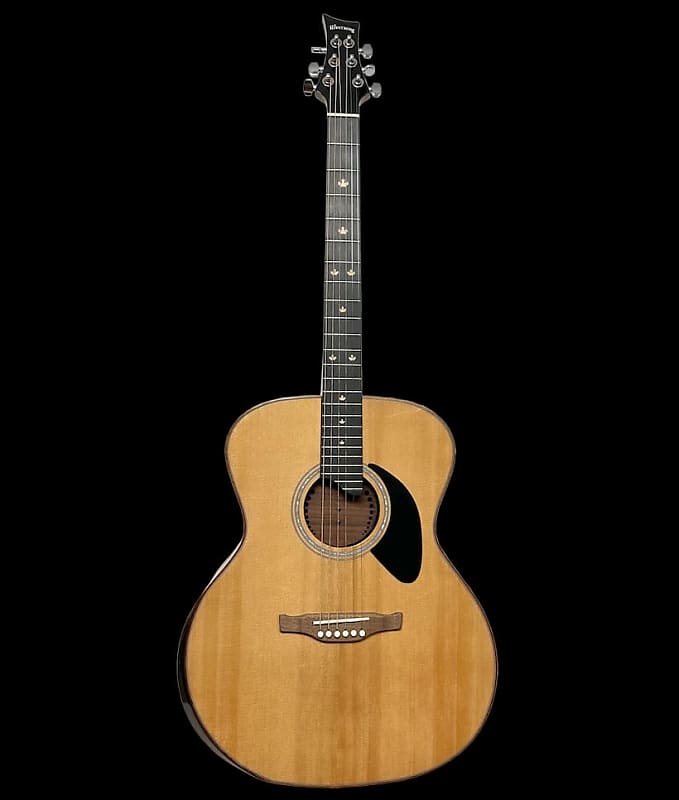 Riversong Folker (P555-A) Acoustic Guitar image 1