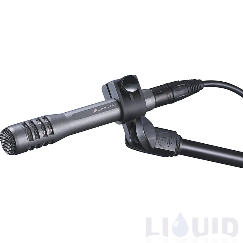 Audio-Technica AE5100 Cardioid Condenser Instrument Microphone image 1