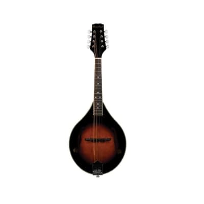 BeaverCreek Spruce Top A-Style Mandolin - Gig Bag Included for sale