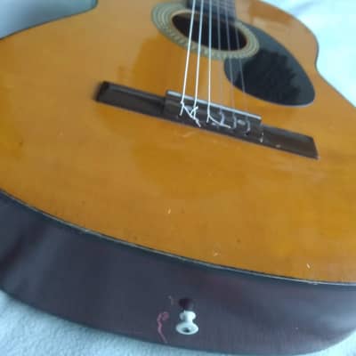 Vintage Sears Acoustic Classical Guitar Model 1247? image 10