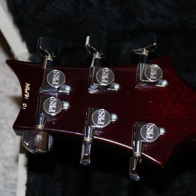 PRS 25th Anniversary Custom 24 - Angry Larry image 9