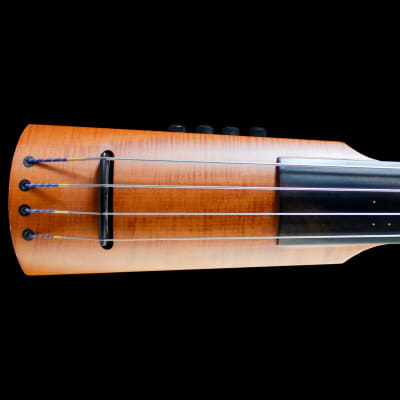 NS Design CR4 Double Bass - Amber Stain for sale