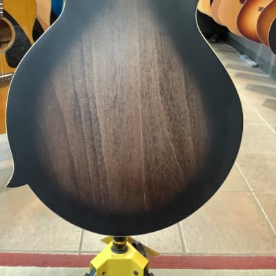 Gold Tone F6 Manditar - Tobacco Sunburst image 5