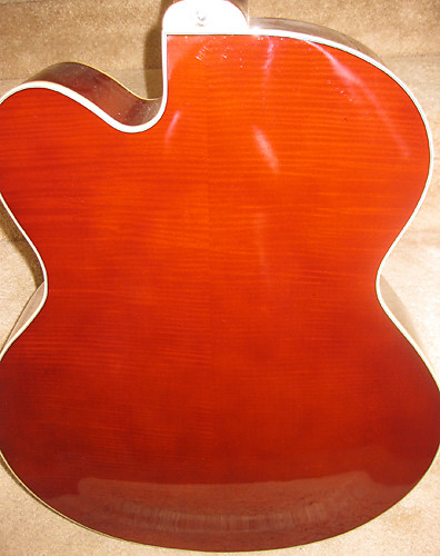 Douglas hollow shop body guitar