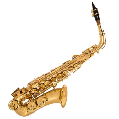 Odyssey Debut 'Eb' Alto Saxophone Outfit image 1