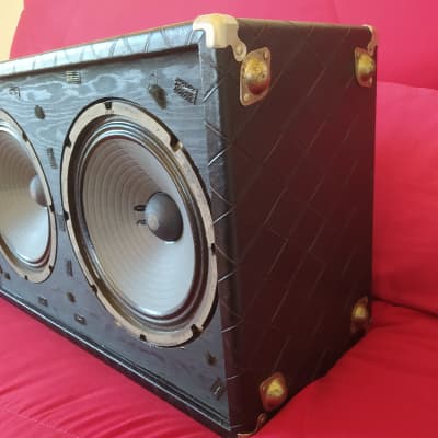 Polytone Mini-Brute V  Rare 2x10' Speakers version image 4