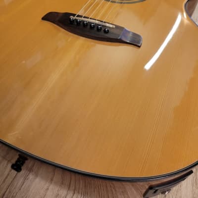 Brunswick BF400E Folk Size Electro Acoustic Guitar image 5