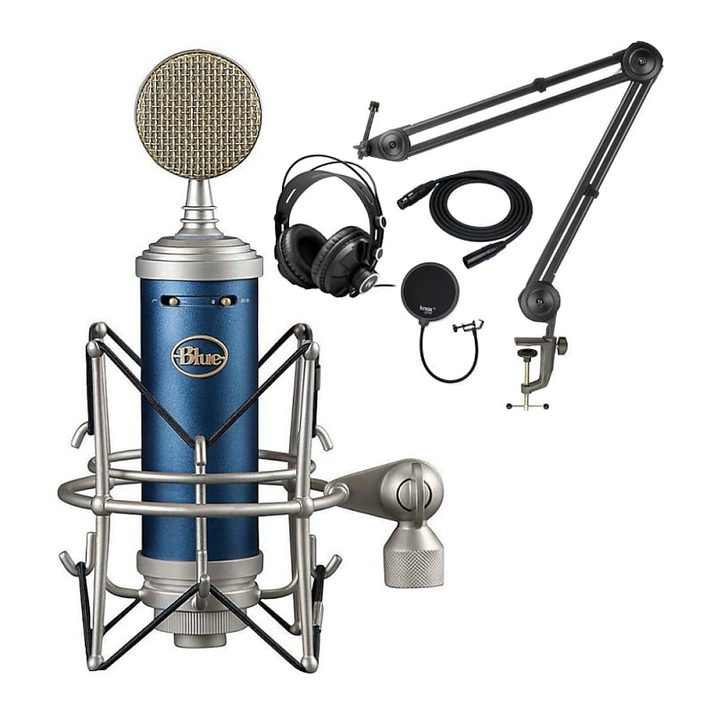 Blue Bluebird Large Diaphragm Cardioid Condenser Microphone | Reverb