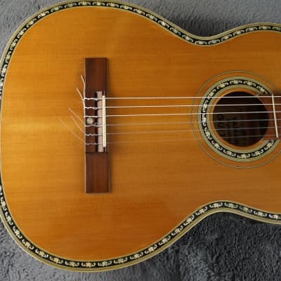 Ezo shop spruce guitar