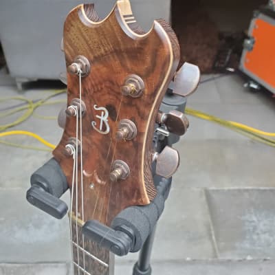 Barlow Guitars Great Horned Owl 2021 - Great Horned Owl #001 Inspired by Jerry Garcia & Alembic image 13