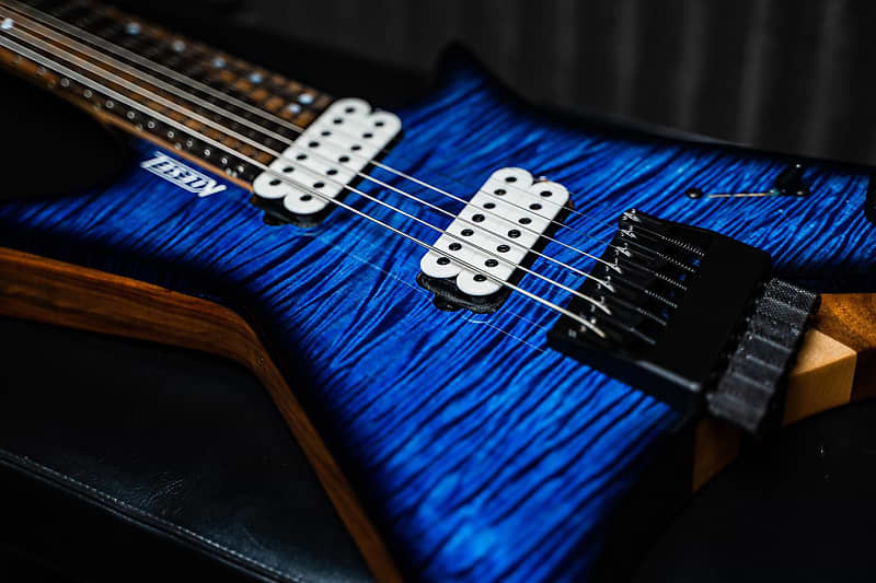Kiesel Type-X (7-String) MultiScale 2022 - Amazing Specs