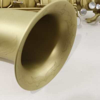 Antigua Winds Model TS4248CB 'Powerbell' Tenor Saxophone in Classic Brass Finish BRAND NEW image 10
