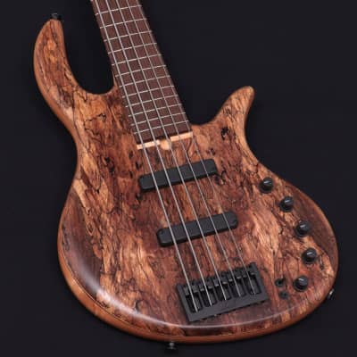 Elrick Gold Series E-Volution 5st Spolted Maple Top Natural 08/04 image 1