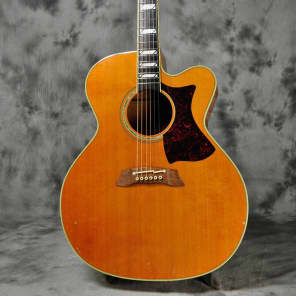 m*4様 Takamine DSP-015 TBS Takamine DSP-015 TBS - YouTube