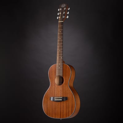 J & D AP-5 Parlor - Acoustic Guitar image 8